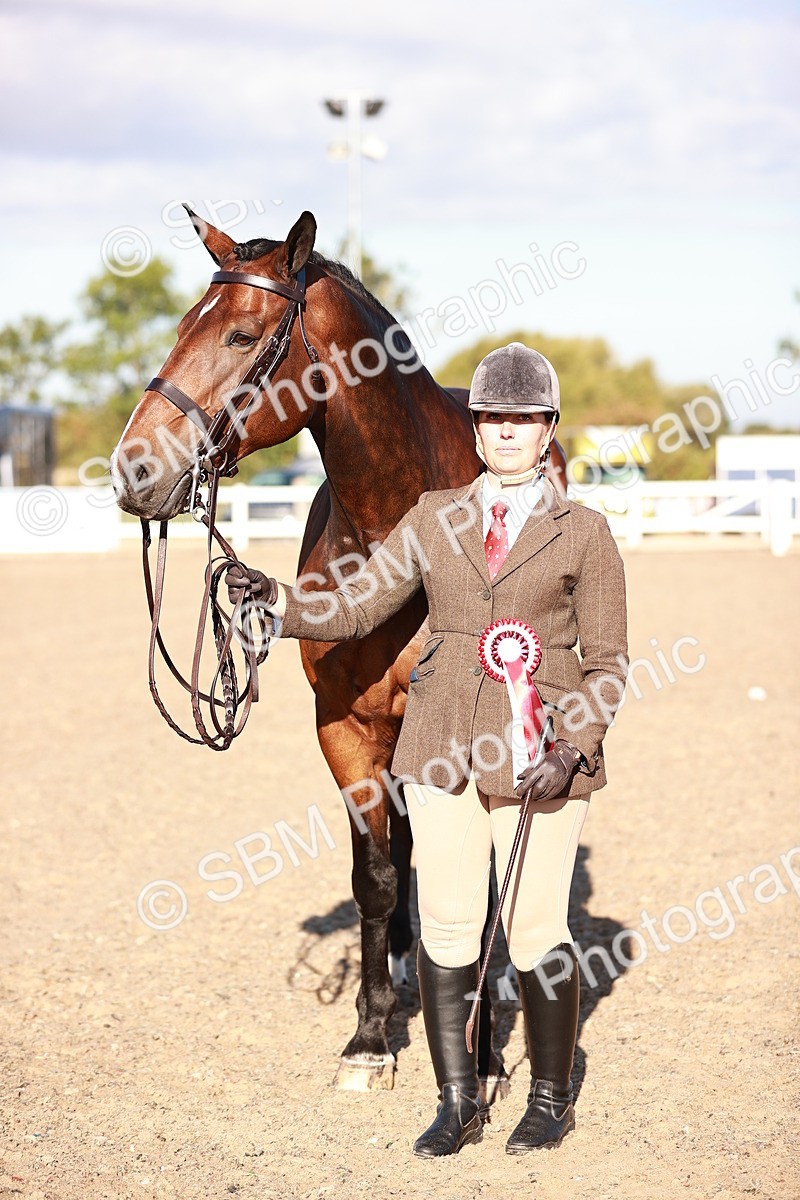 SBM_11220 - Class 401 - IH  Veteran horse
