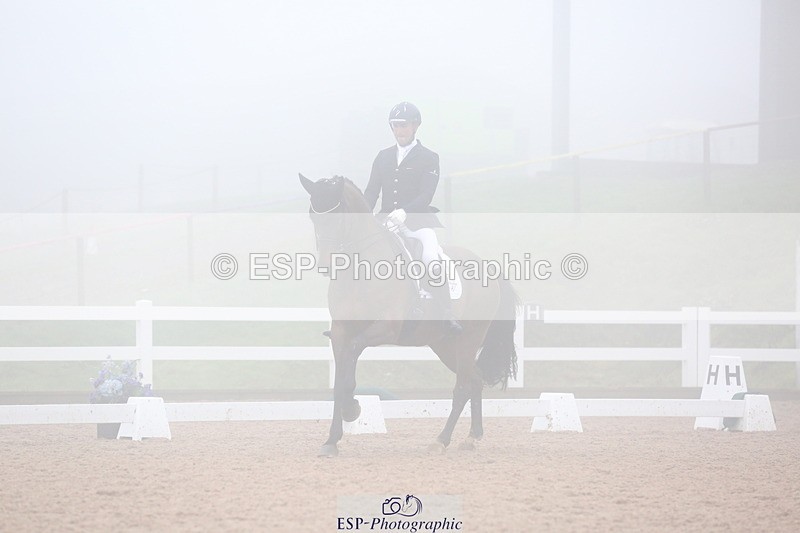 240217A-140409-03994 - 172-Jezz.Palmer-Honey.D'Or