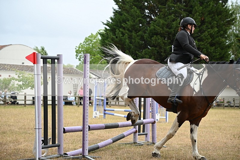 WJ6_0065 - Class 13 Novice Jumping 60cm