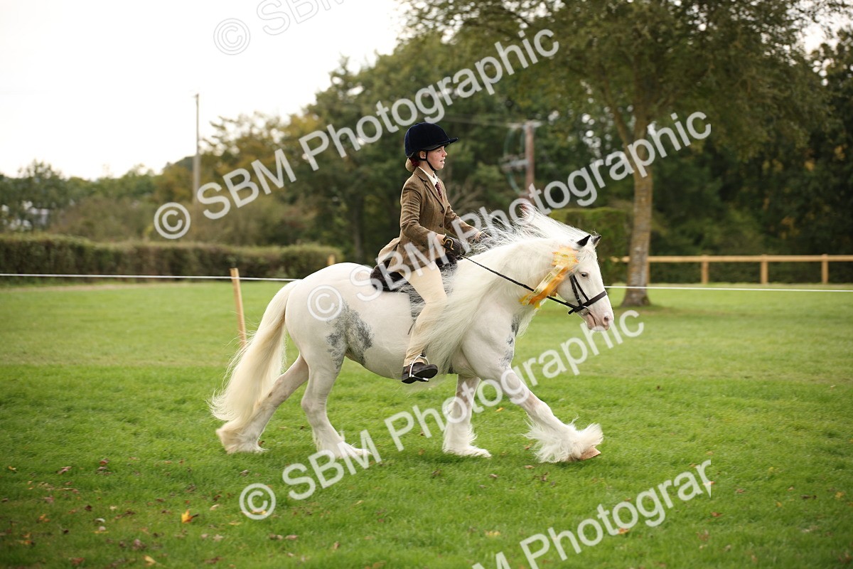 SBM_73599 - S68 - Traditional Cob Ridden