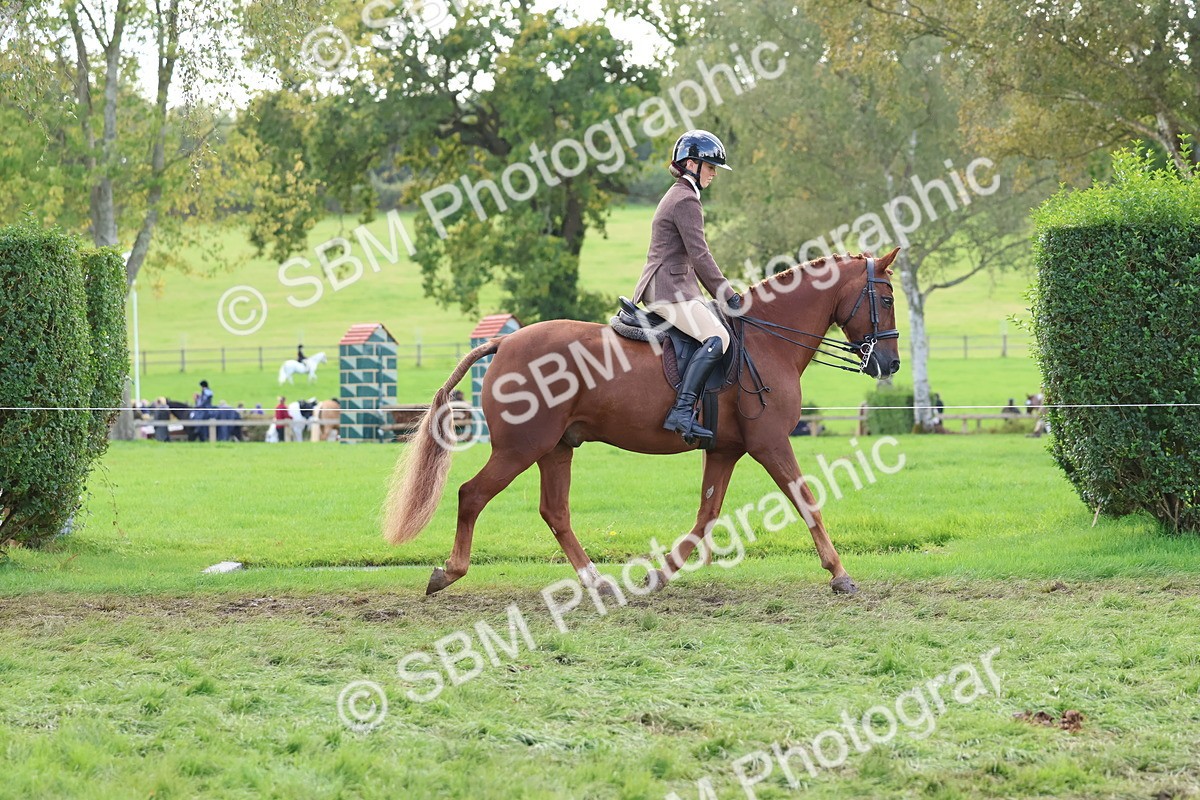 SBM_47619 - S28 - Veteran Ridden