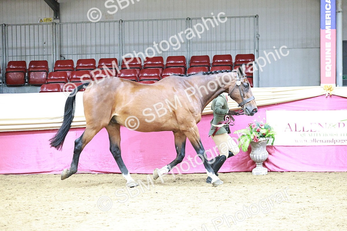 SBM_06627 - Regional - IH Champs