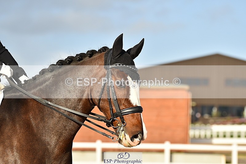 231104A-135950-01985 - Cls 10 Medium 61