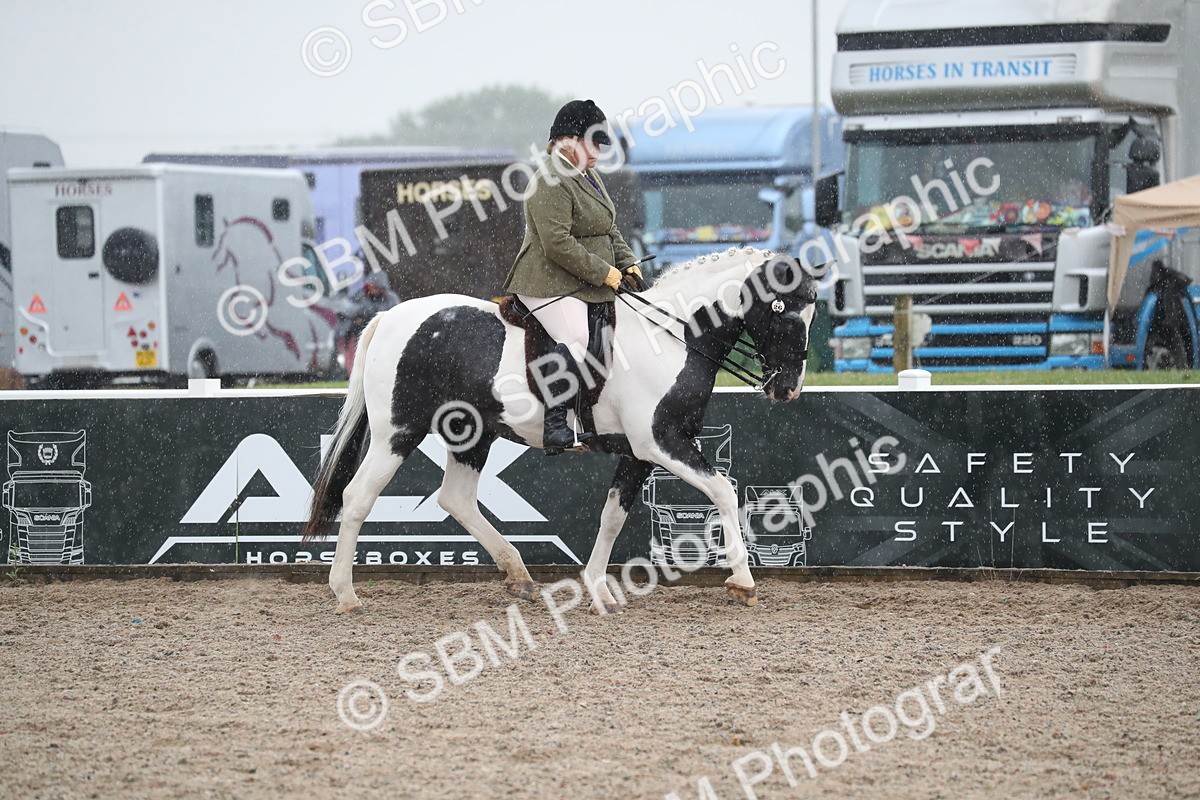 SBM_20418 - Class 601 - 2025 Area - Ridden Diamond