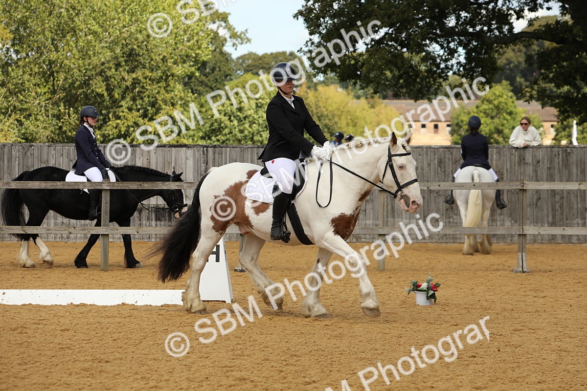 SBM_41806 - D21 - Junior Championship - Intro A
