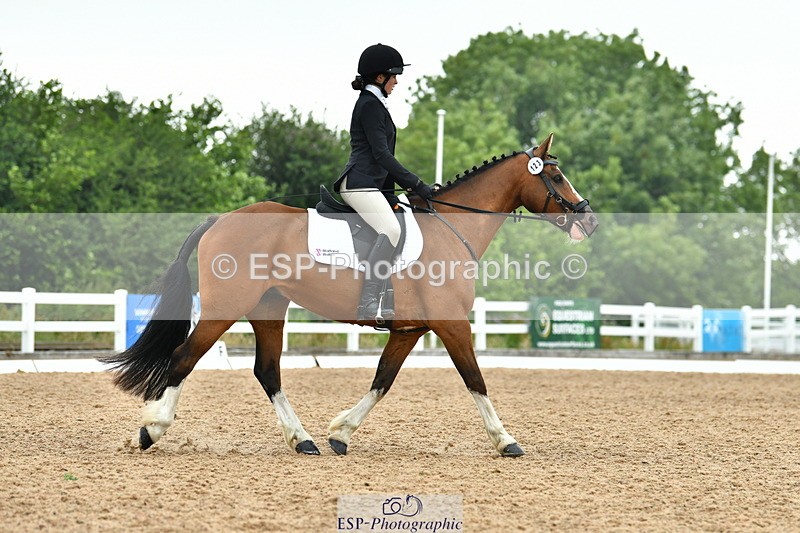 230708A-115200-02640 - Prelim 13