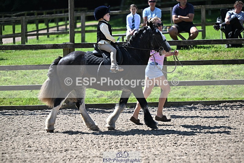 240729B-112012-02324 - Showjumping Competition