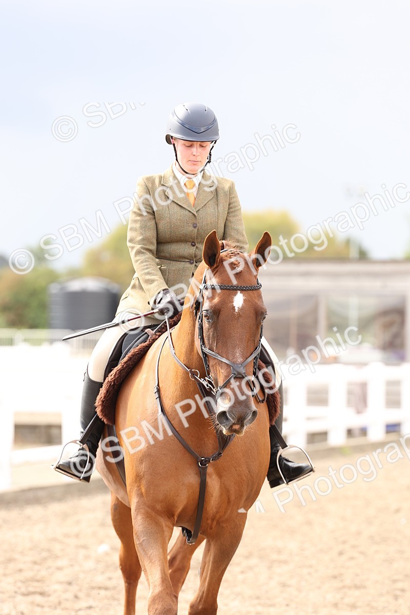 SBM_07451 - Class 59a -  Style & Performance - 80cm (15-19)