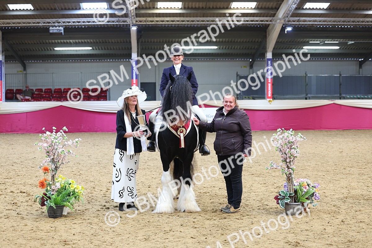 SBM_24203 - Class 905 - Supreme Final - Ridden Veteran