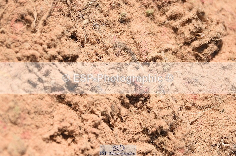 230526A-113944-01559 - Cls 9 Discovery & 1m Open