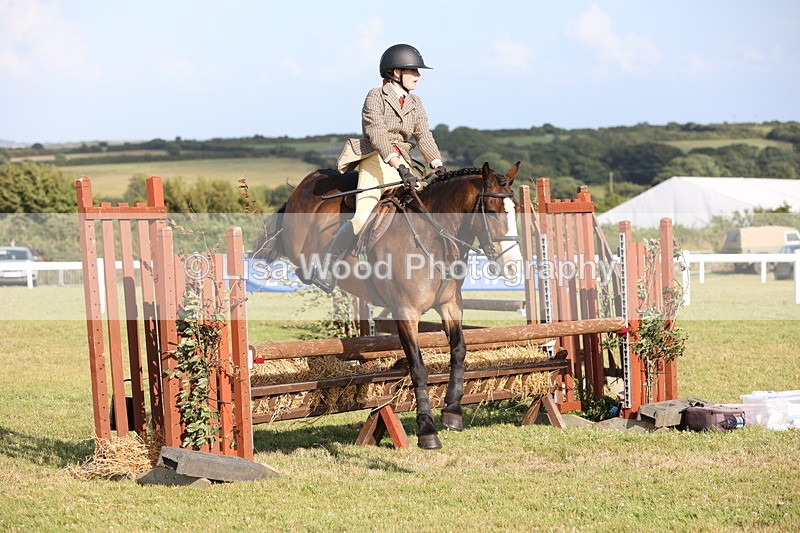 JPP_3232 - Class 21: Working Hunter 80cm