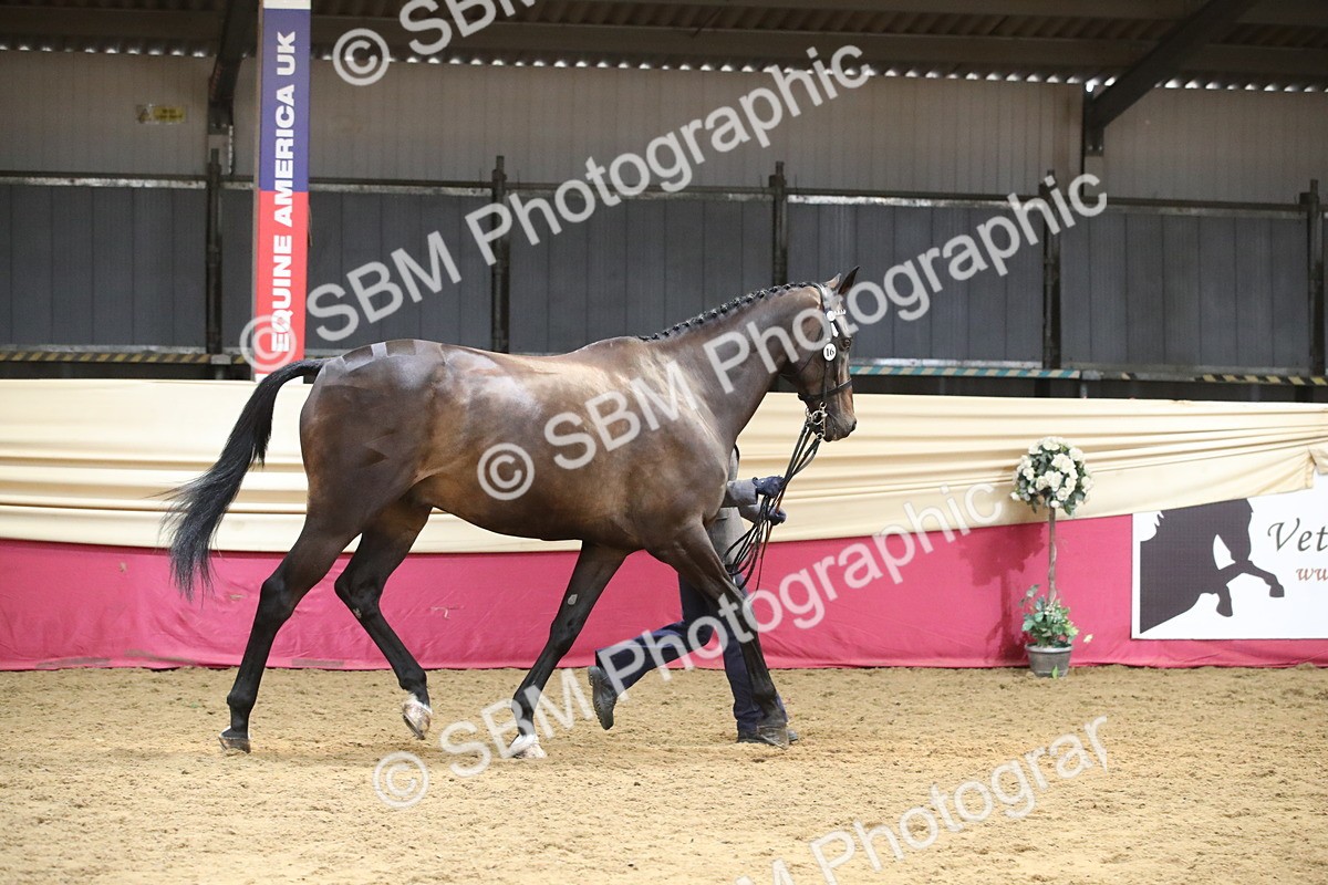 SBM_05481 - Class 9R - Regional IH Pre-Vet