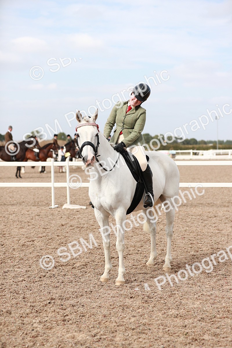 SBM_17541 - Class 215 Ridden Hack/ Riding Horse