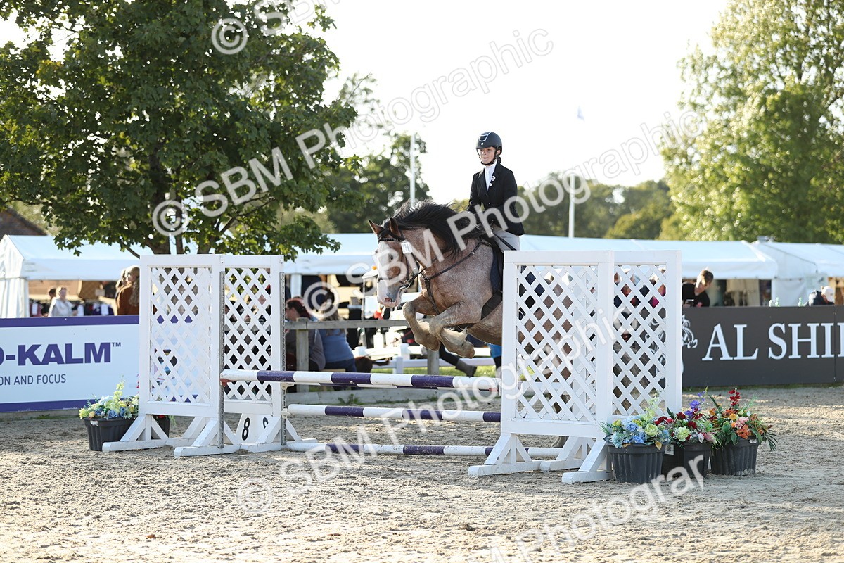 SBM_53963 - J23 - Junior Horse 70cm Championship