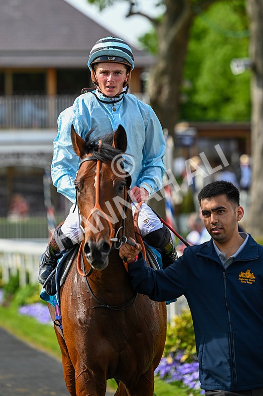 230526-Race 6-Pearl River-7854 - Race 6 16.25pm Royal Yorkshire Regiment Handicap