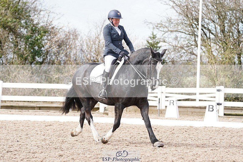 250322-111850-00239 - DR Elementary 1 Test