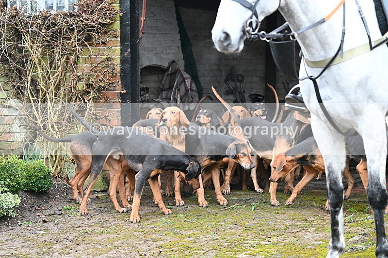 WJ7_2931 - Meet