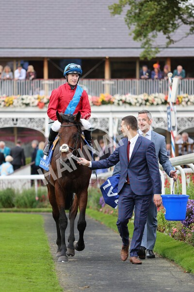 yr09102021r3-28 - Race 3 2.37pm Play Coral Racing-Super-Series For Free Handicap