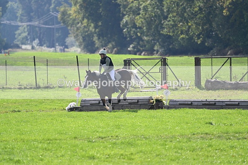 WJ7_4812 - 60cm Time 11:11 to 11:19