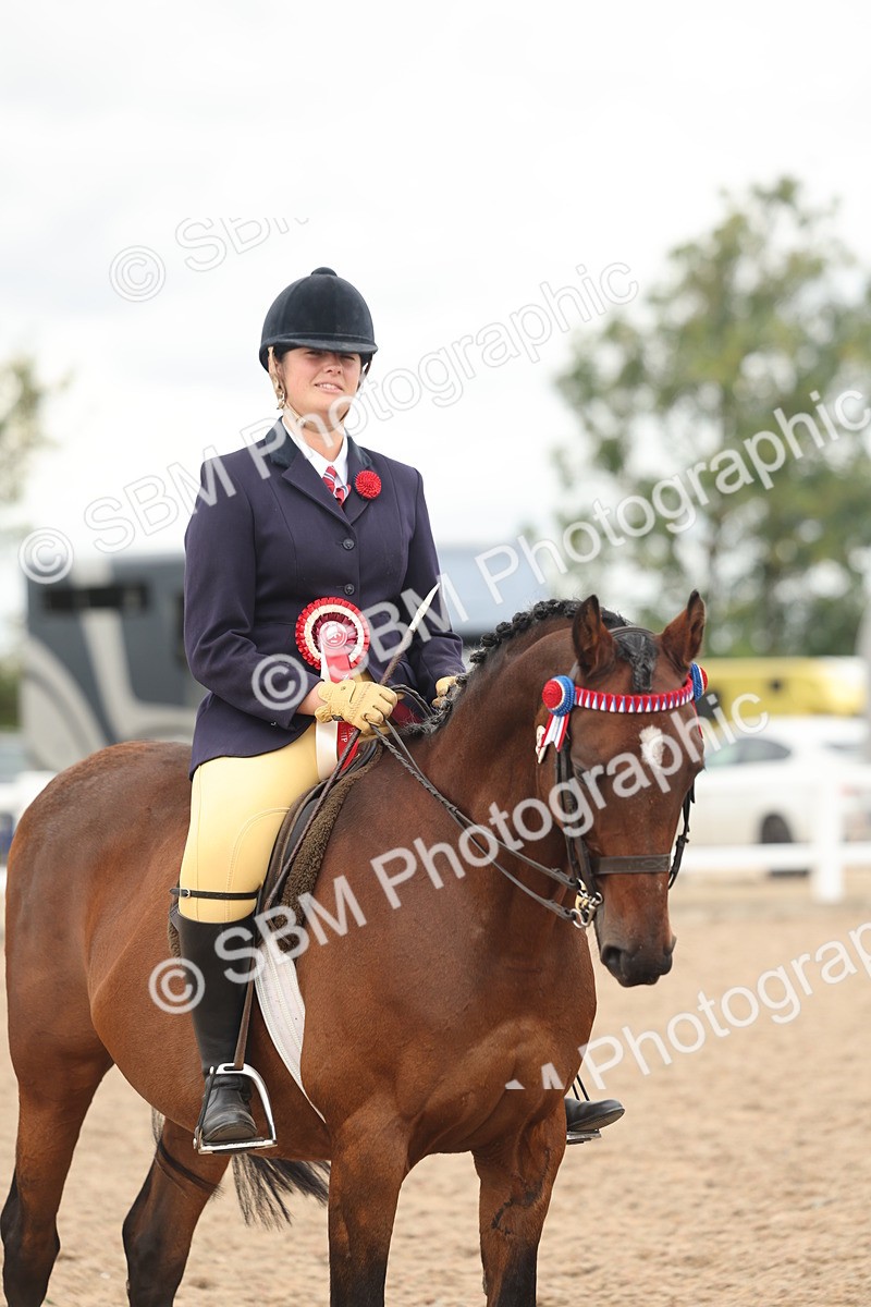 SBM_16075 - Class 311 - Ridden Show pony-Show hunter Pony
