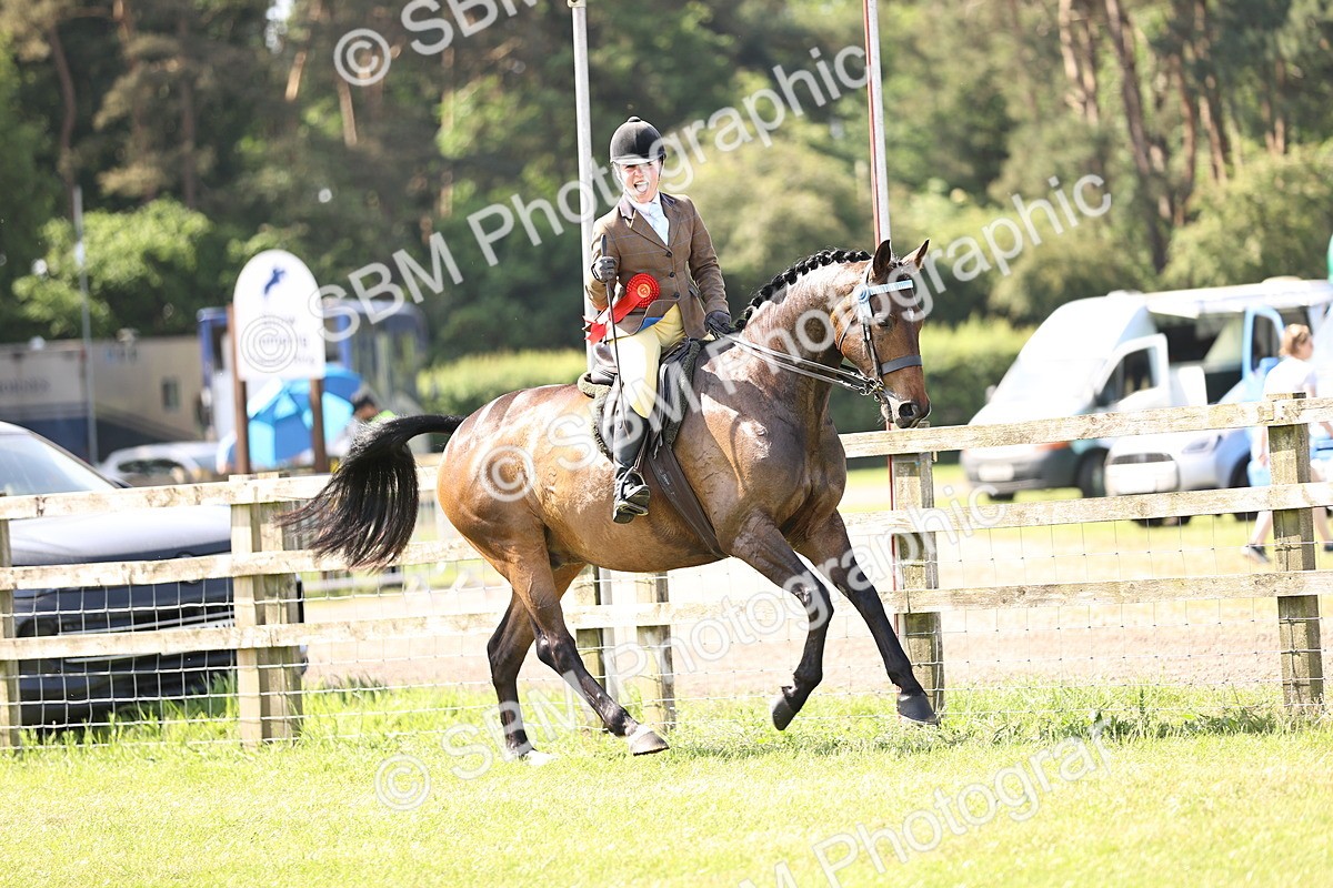 SBM_12956 - Class 75-76 LIHS BSHA Rising Star Hack Riding Horse