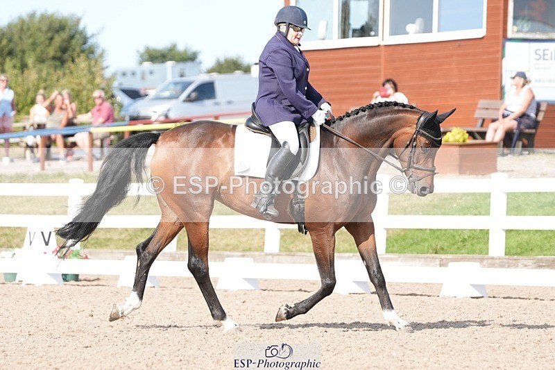 250817-164943-11971 - 211-Carey.CollettRubin's.Fanfare