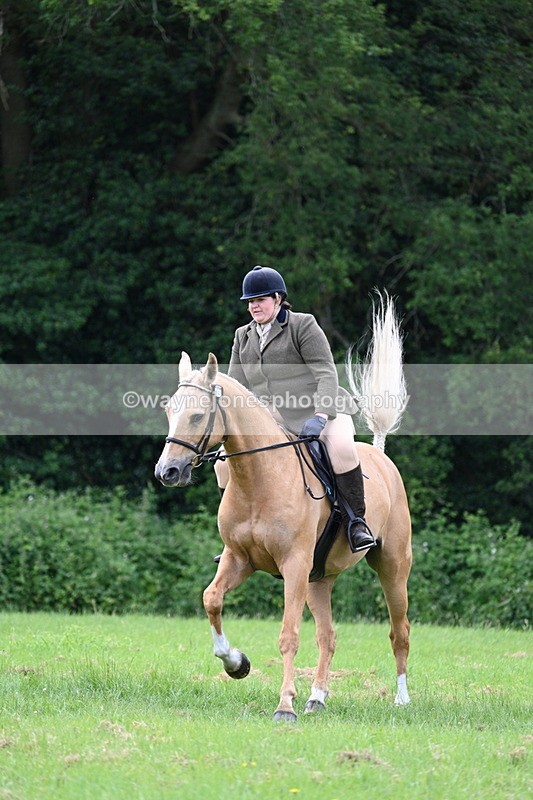 WJ7_2484 - Class 12A Coloured Class