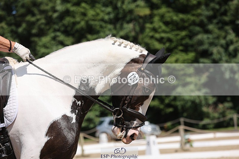 240719-142123-02282 - 130-Liz_Rivett-A_Blue_Eyed_Boy