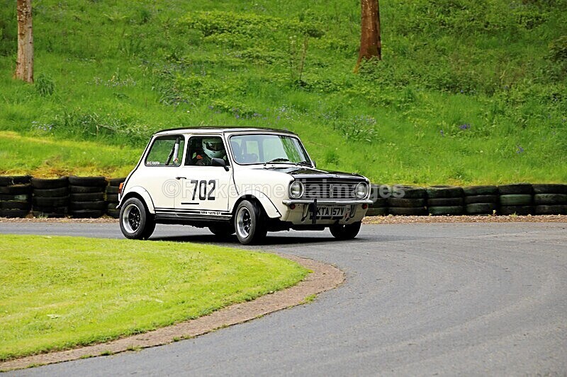 _56A1597 - MINI FESTIVAL 22ND May 2021