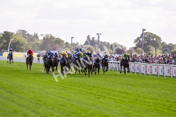 240824-Race 4-Magical Zoe-1576 - Race 4 3.35pm Sky Bet Ebor Handicap
