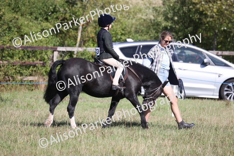 20260906-2146 - Class 16 - Family Pony