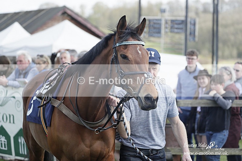 PtP 080423 454 - Dingley Races The Woodland Pytchley Hunt PtP 08/04/23