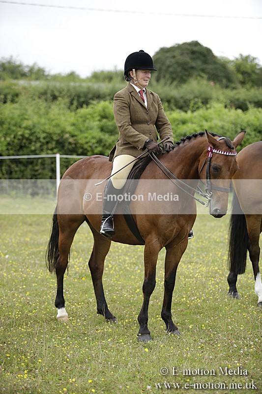 BVR160717-1045 - Ring 1 BVRC Show 16/07/17