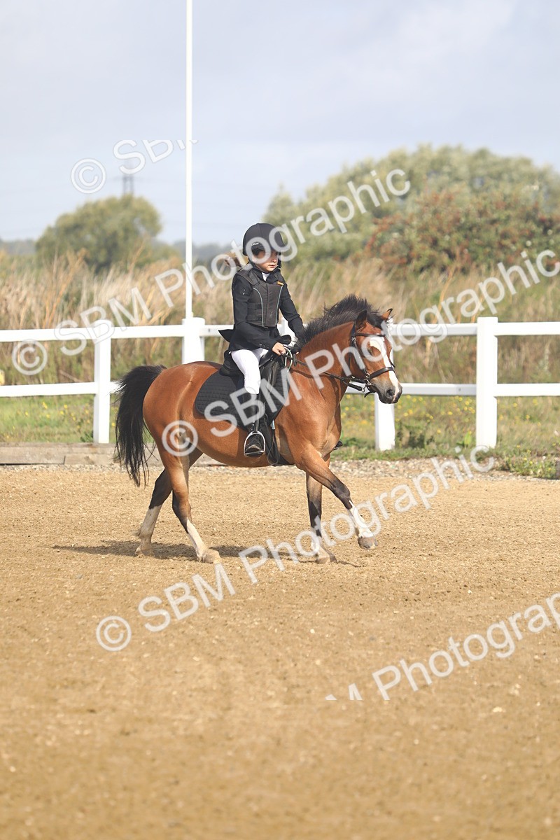 SBM_005284 - Class 4 - 50cm Champs