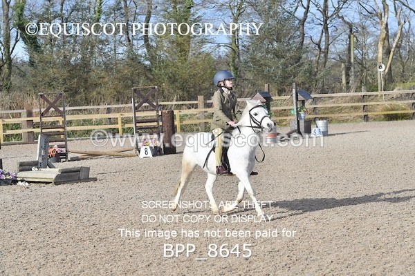 BPP_8645 - TRAINING STAKES