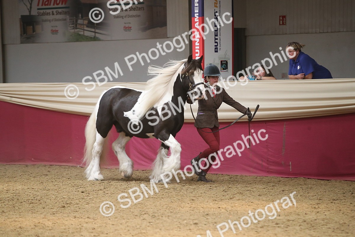 SBM_05554 - Class 9R - Regional IH Pre-Vet