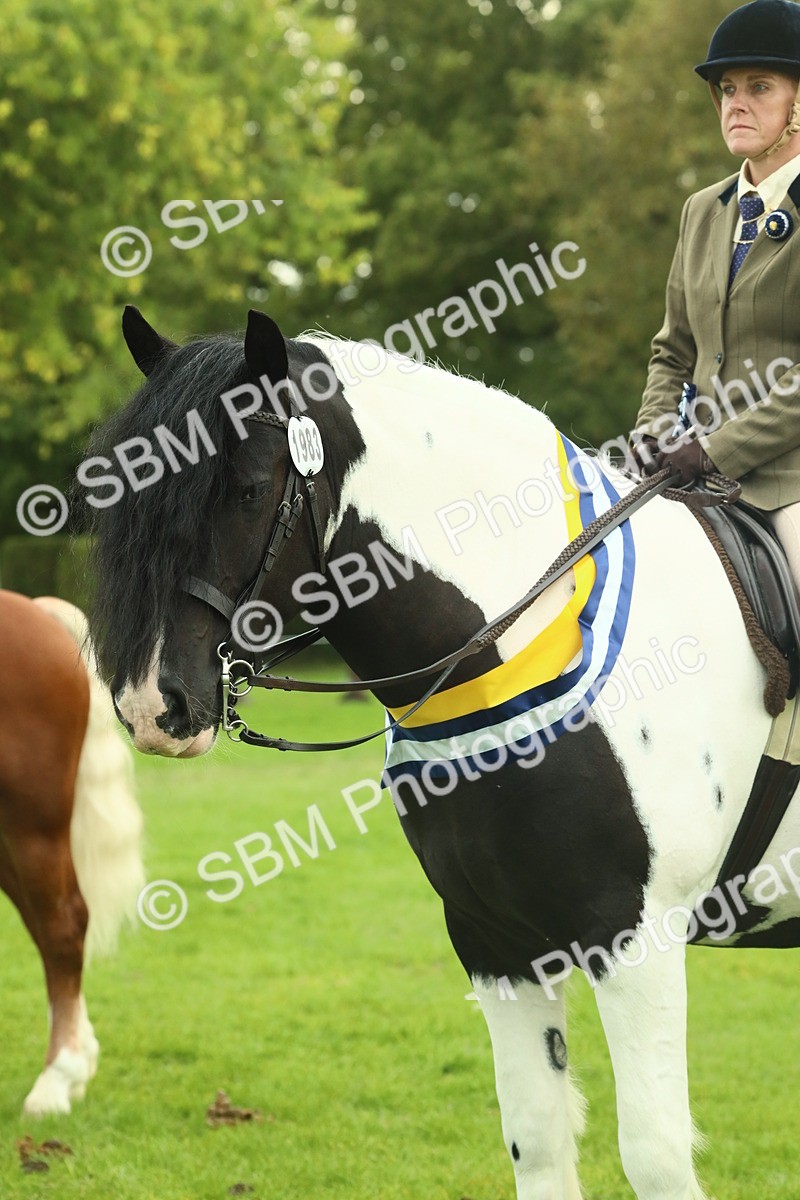 SBM_75222 - Super Supreme Championship