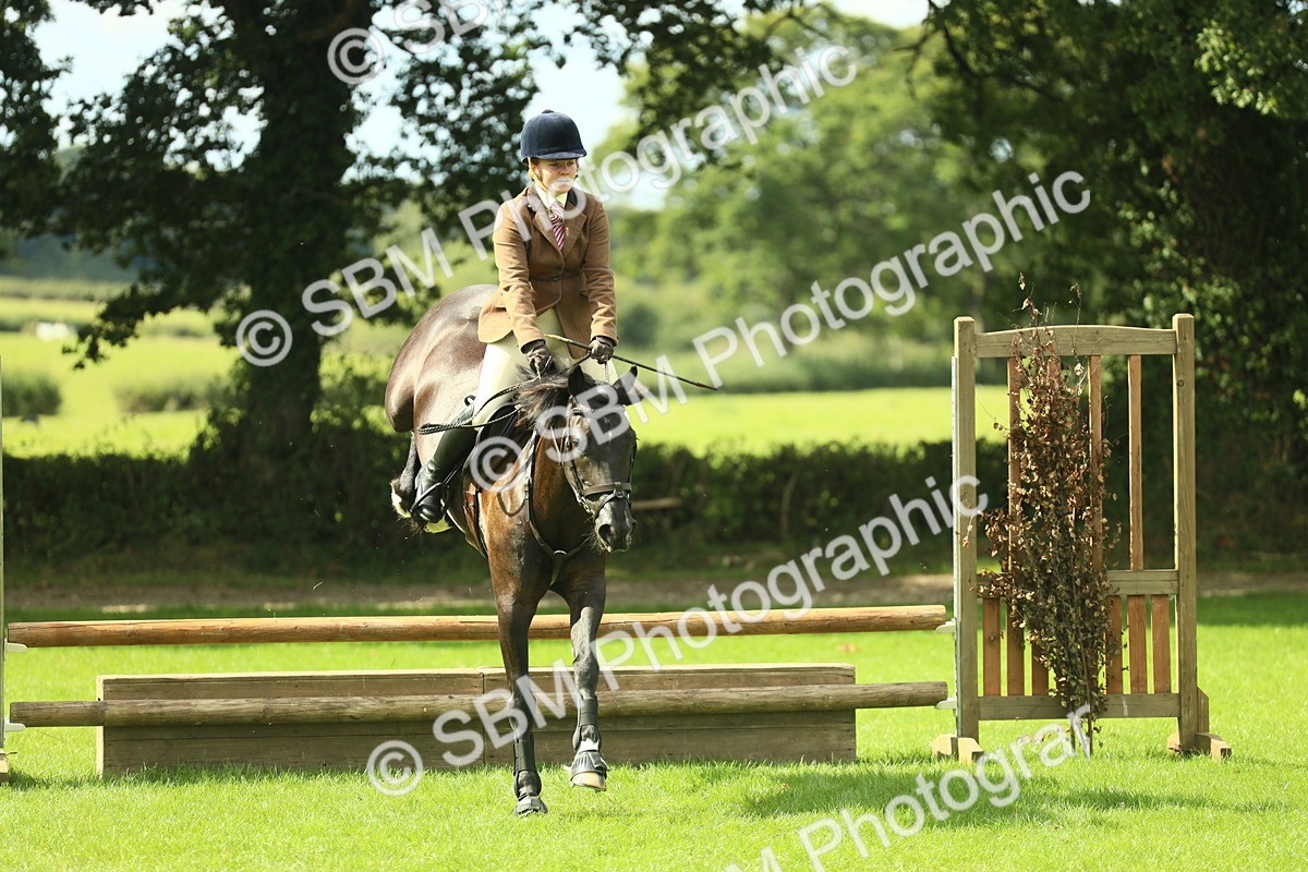 SBM_42874 - S30 - M&M Working hunter Pony