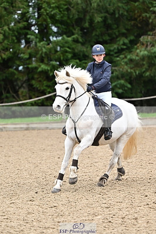 250201A-101223-00164 - Cls 01 Local Horse 90cm