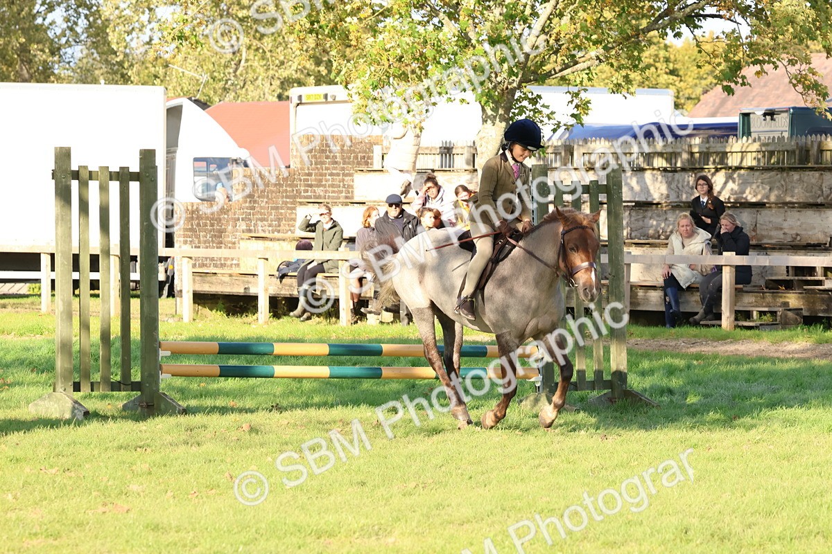 SBM_52645 - S13 - Pony Club Pony