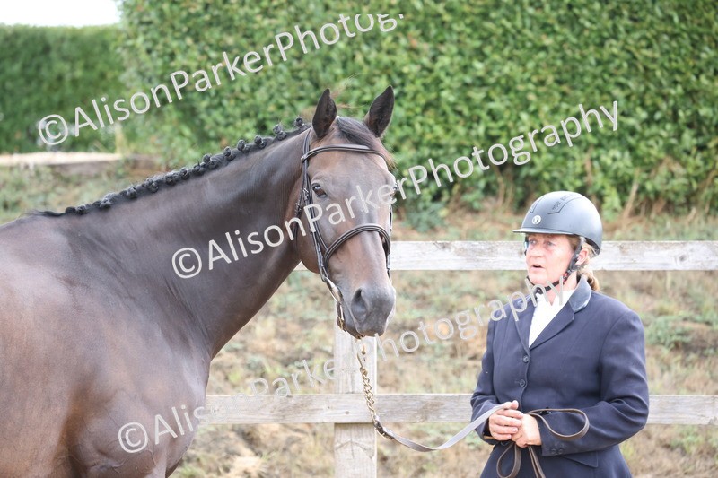 20260831-1921 - Class 5 - Retraining of Racehorses