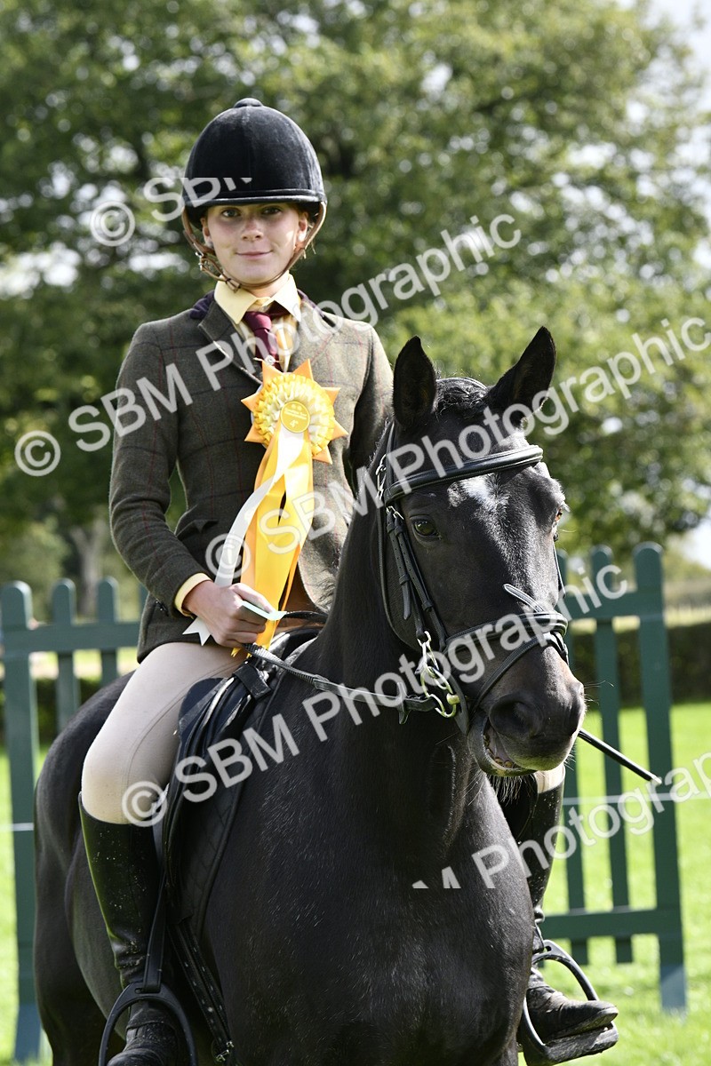SBM_41656 - S32 - Mountain & Moorland Working Hunter Pony