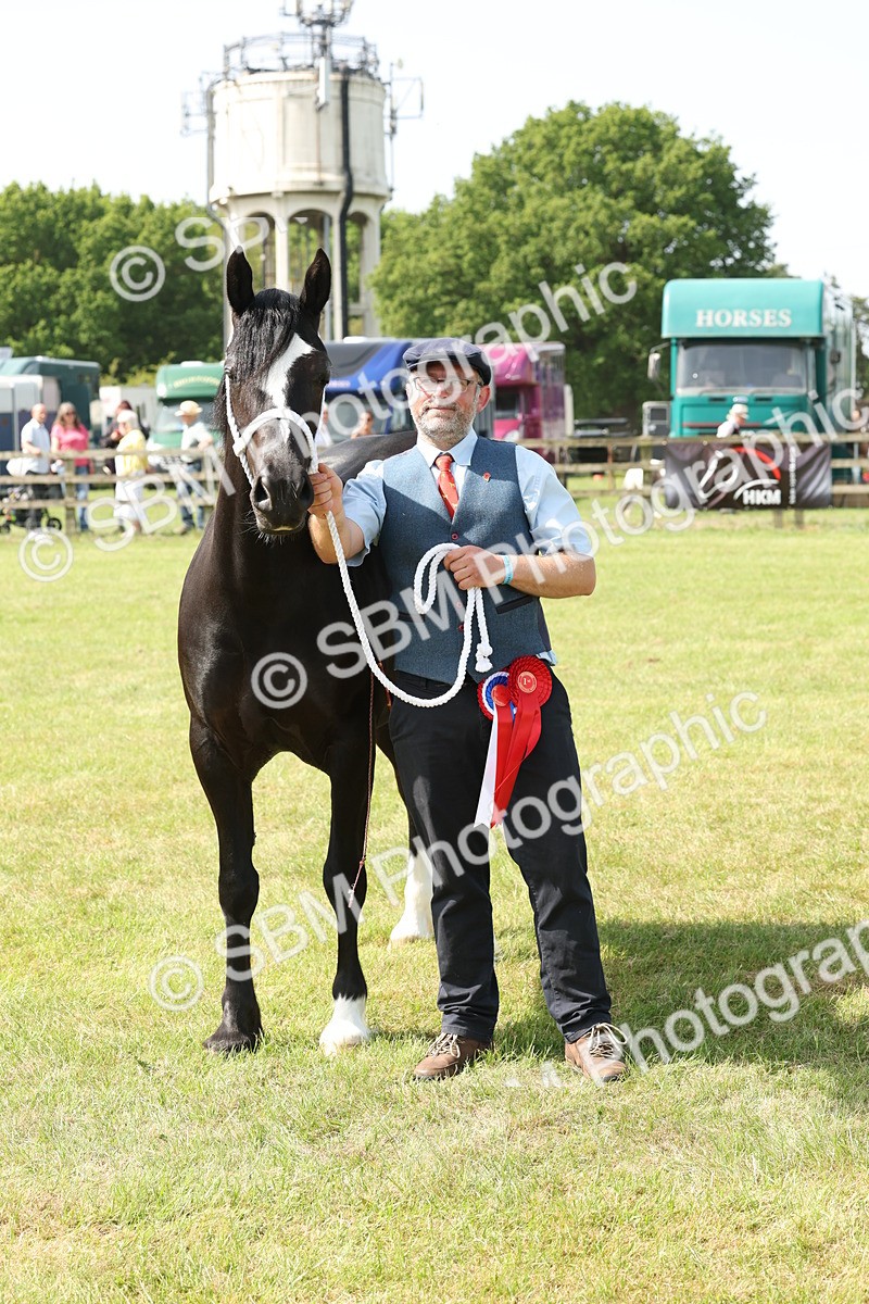 SBM_02353 - Class 6-13 - Mountatin and Moorland In Hand Welsh Breeds