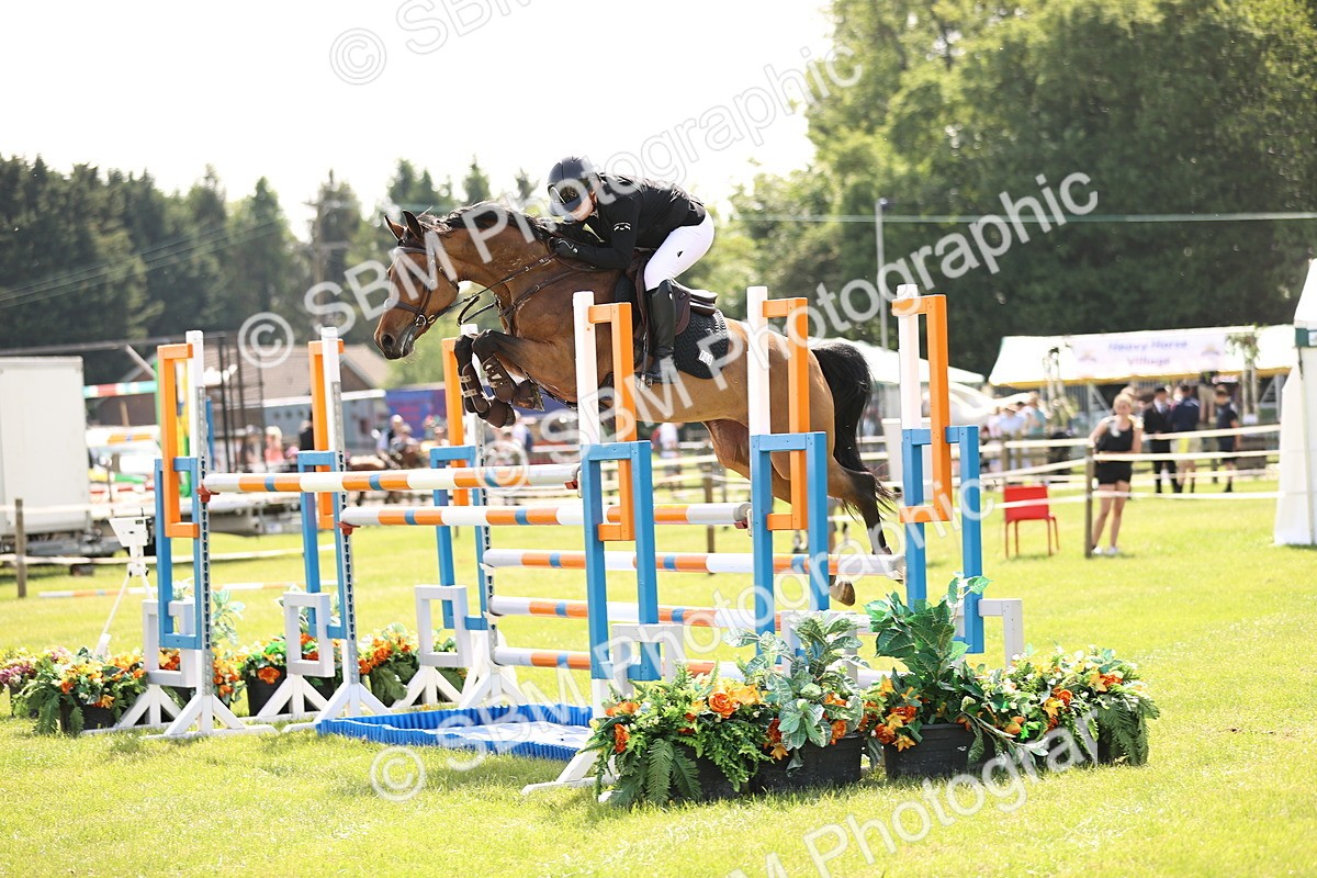 SBM_03096 - Class 201 - British Horse Feedds Speedi Beet HOYS Grade C