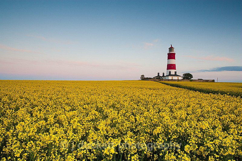 Norfolk coast landscape photography from Happisburgh Lighthouse