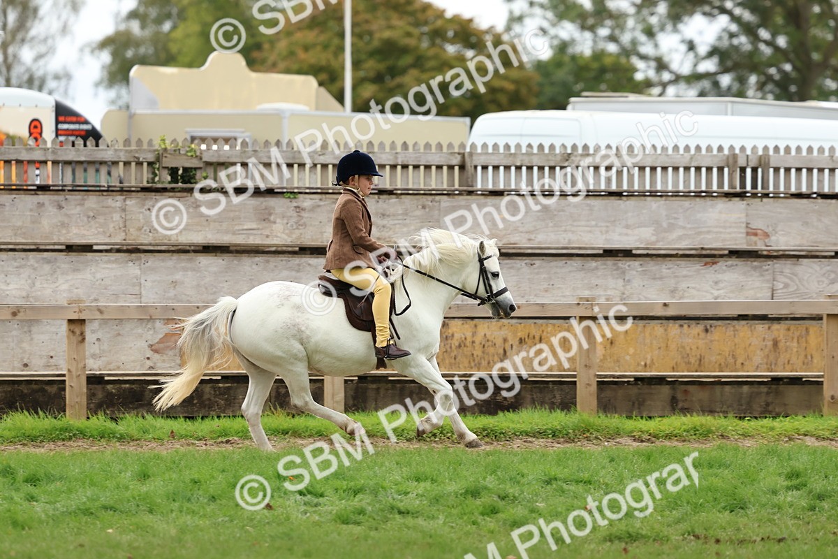 SBM_67442 - S61 - Mountain & Moorland Ridden