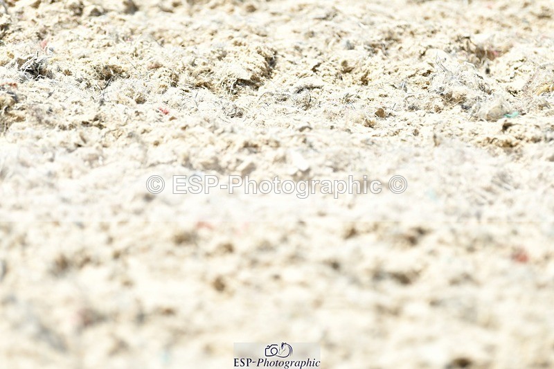 230623-132517-02380 - Cls 4 Novice 37Q 12.45 to End