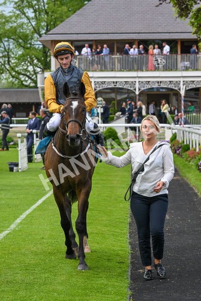 150524-Race 6-Shadow Army-4618 - Race 6 4.45pm British Stallion Studs EBF Novice Stakes