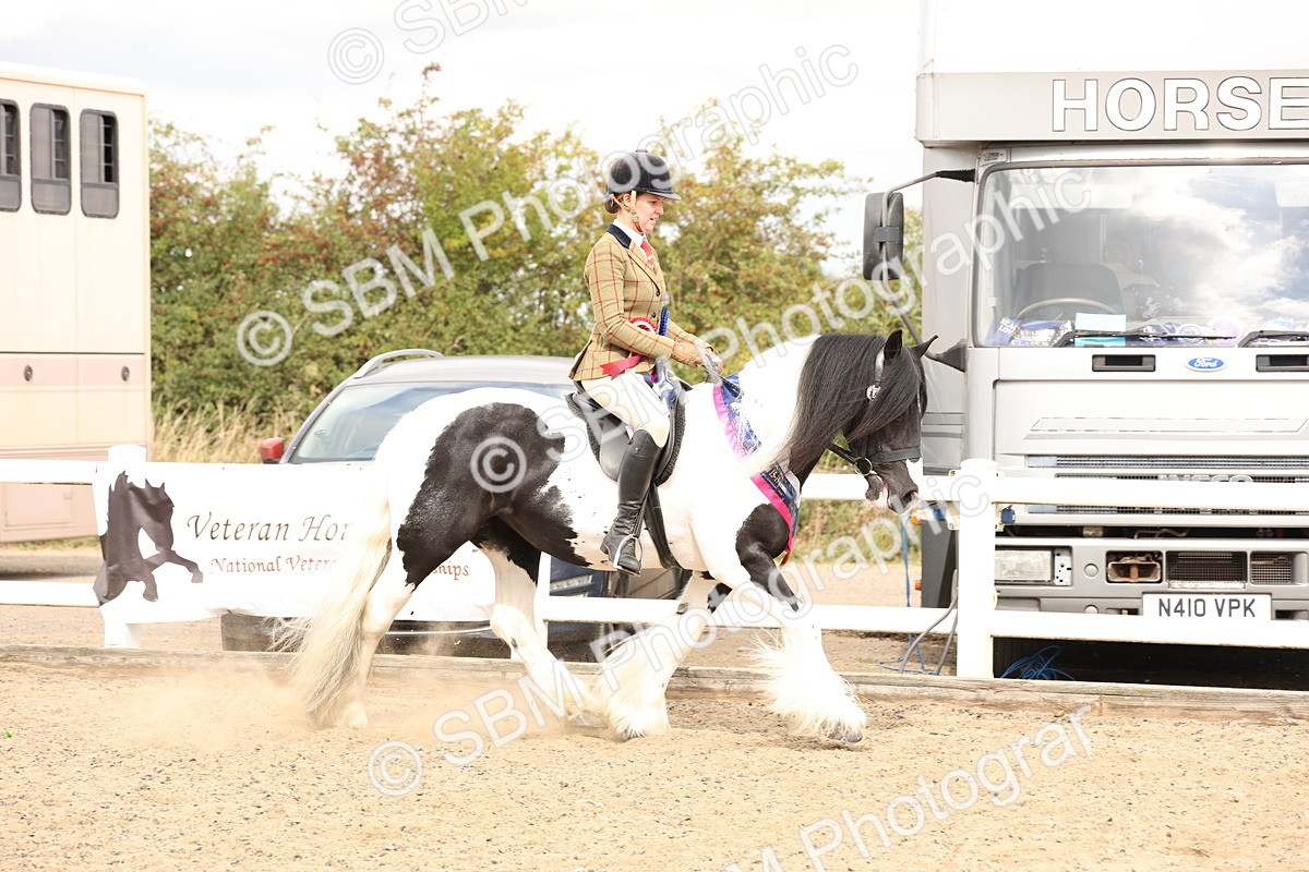 SBM_05178 - Class 56a -  Style & Performance - 50cm (15-19)