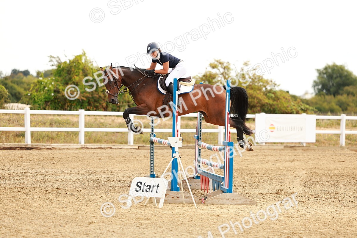SBM_002194 - Class 9 - Senior British Novice - 90cm